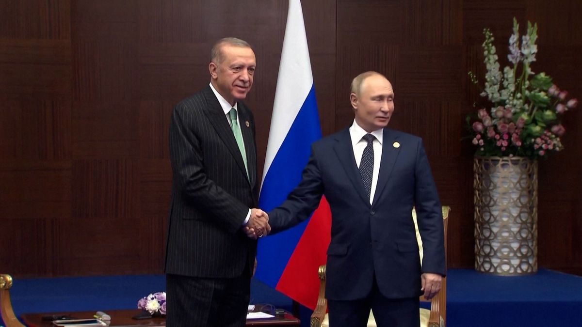 Erdogan navrhl Putinovi prodloužit dohodu o vývozu ukrajinského obilí